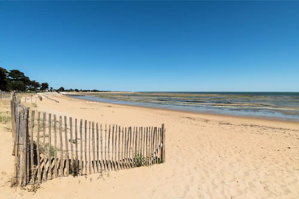 Camping Royal Océan 41 étoiles★