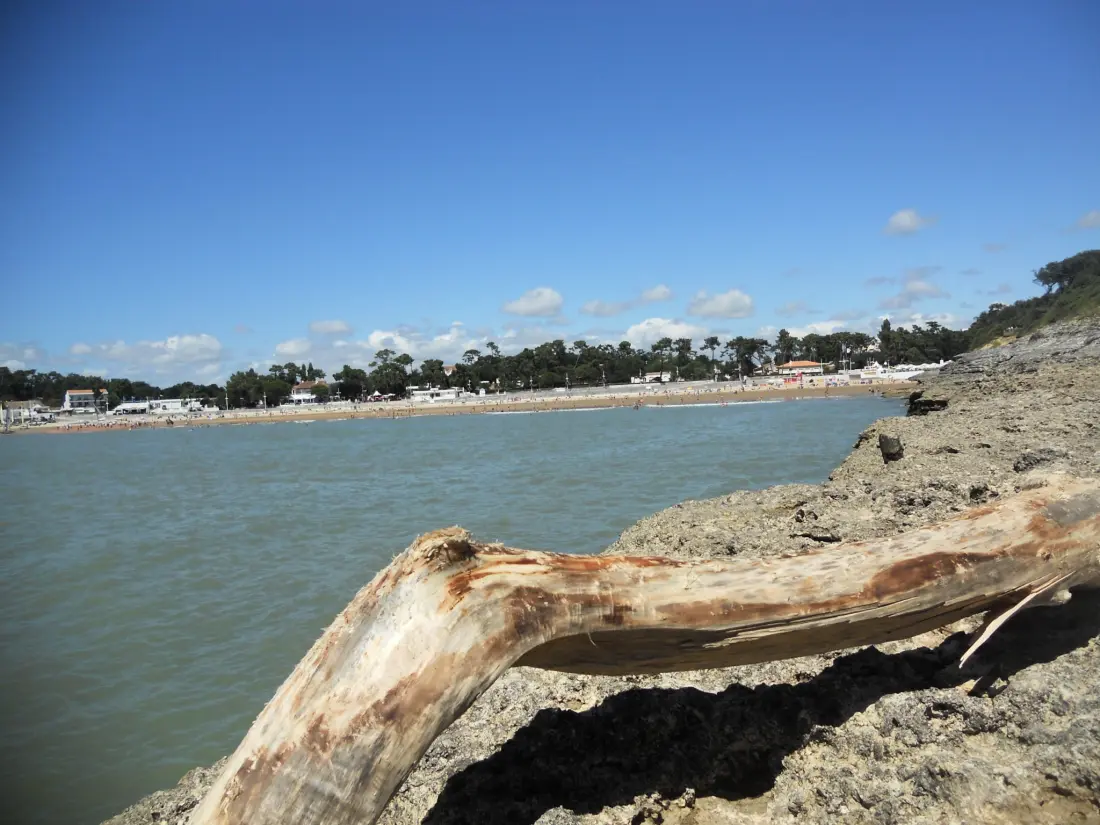 Flower Camping Le Nauzan Plage 4 étoiles★★★★
