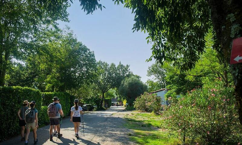Camping Le Petit Bois - Ruoms - 4