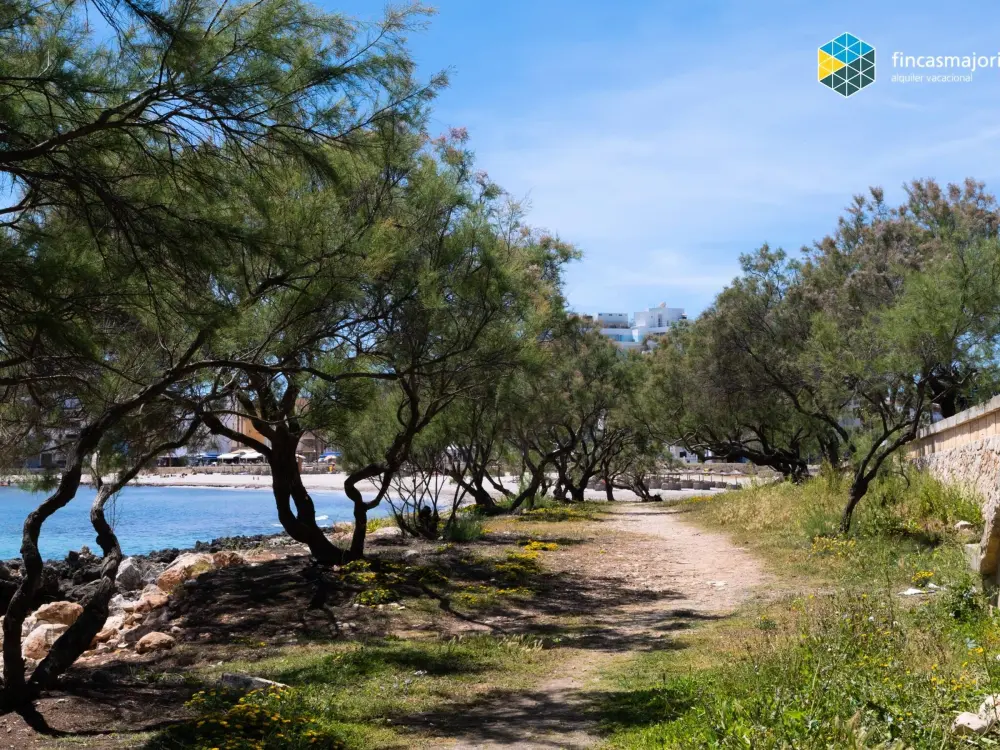 Location de Vacances S'illot 3