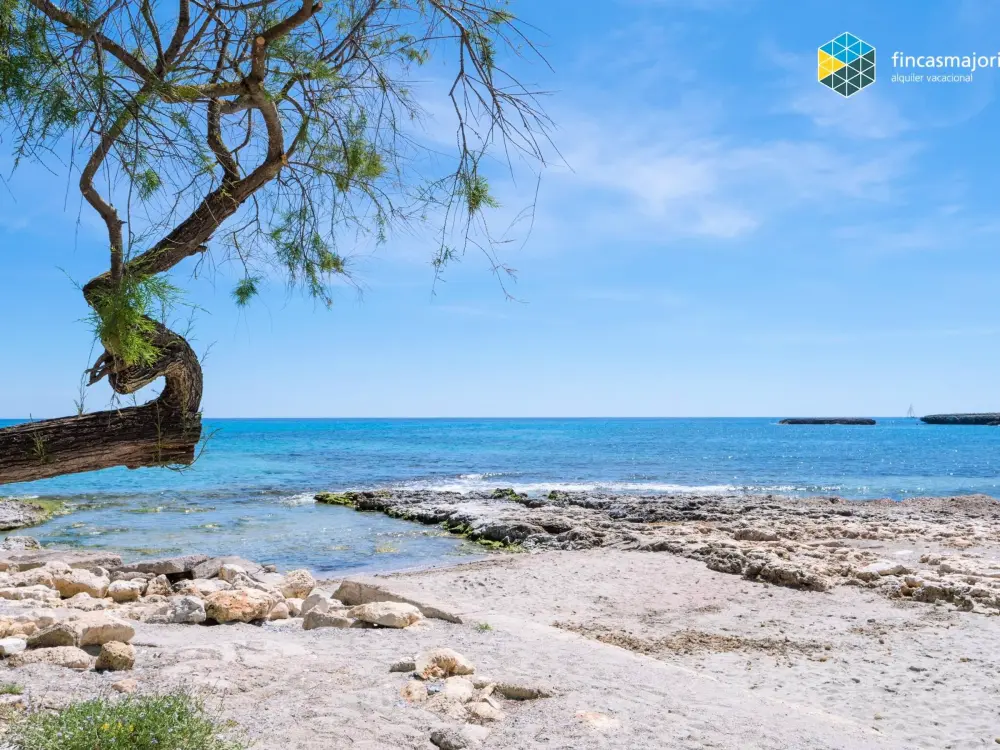 Location de Vacances S'illot 6