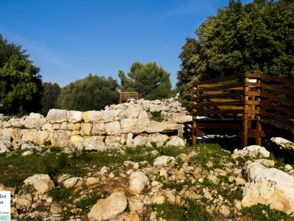 Location de Vacances S'illot 6