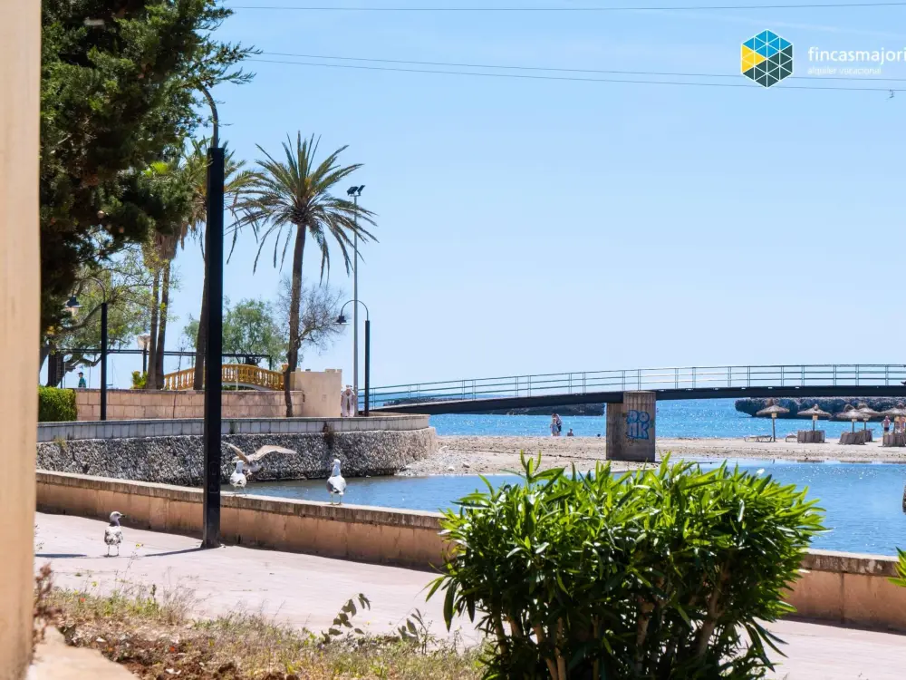 Location de Vacances S'illot 6