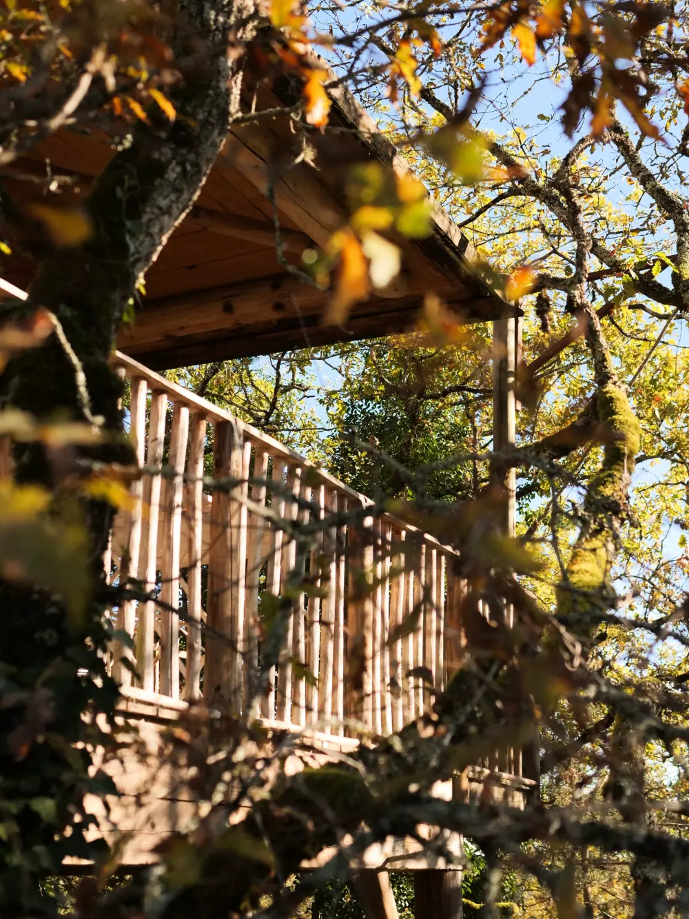 Domaine Périgord Vacances 3 étoiles★★★