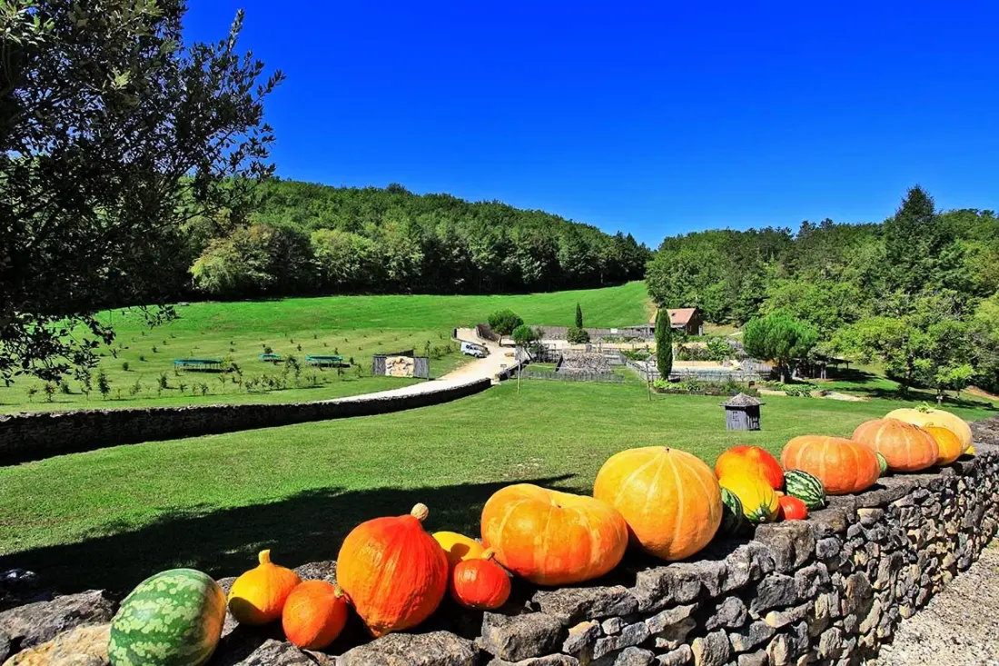 Domaine Périgord Vacances 3 étoiles★★★