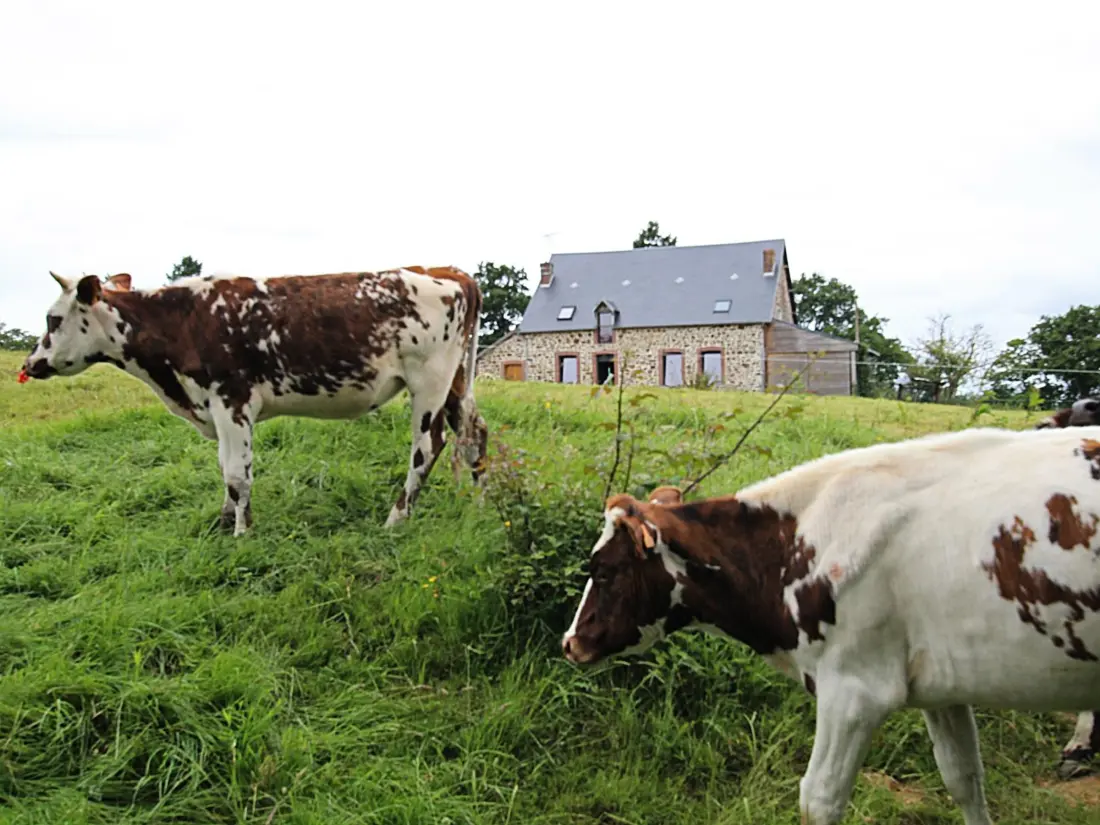 Maison de Vacances Saint-Amand