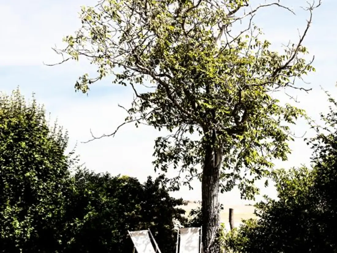 Maison de Vacances SAINT-ANDRE-D'APCHON 3