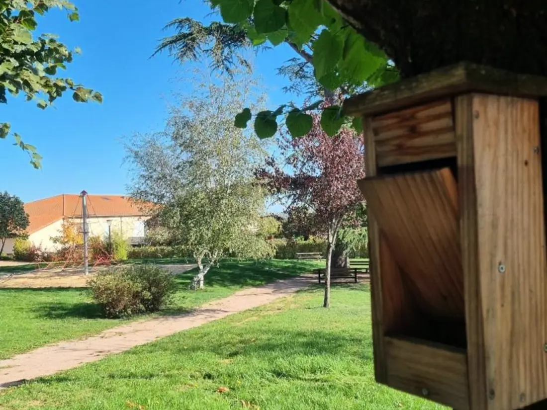 Maison de Vacances SAINT-ANDRE-D'APCHON 4