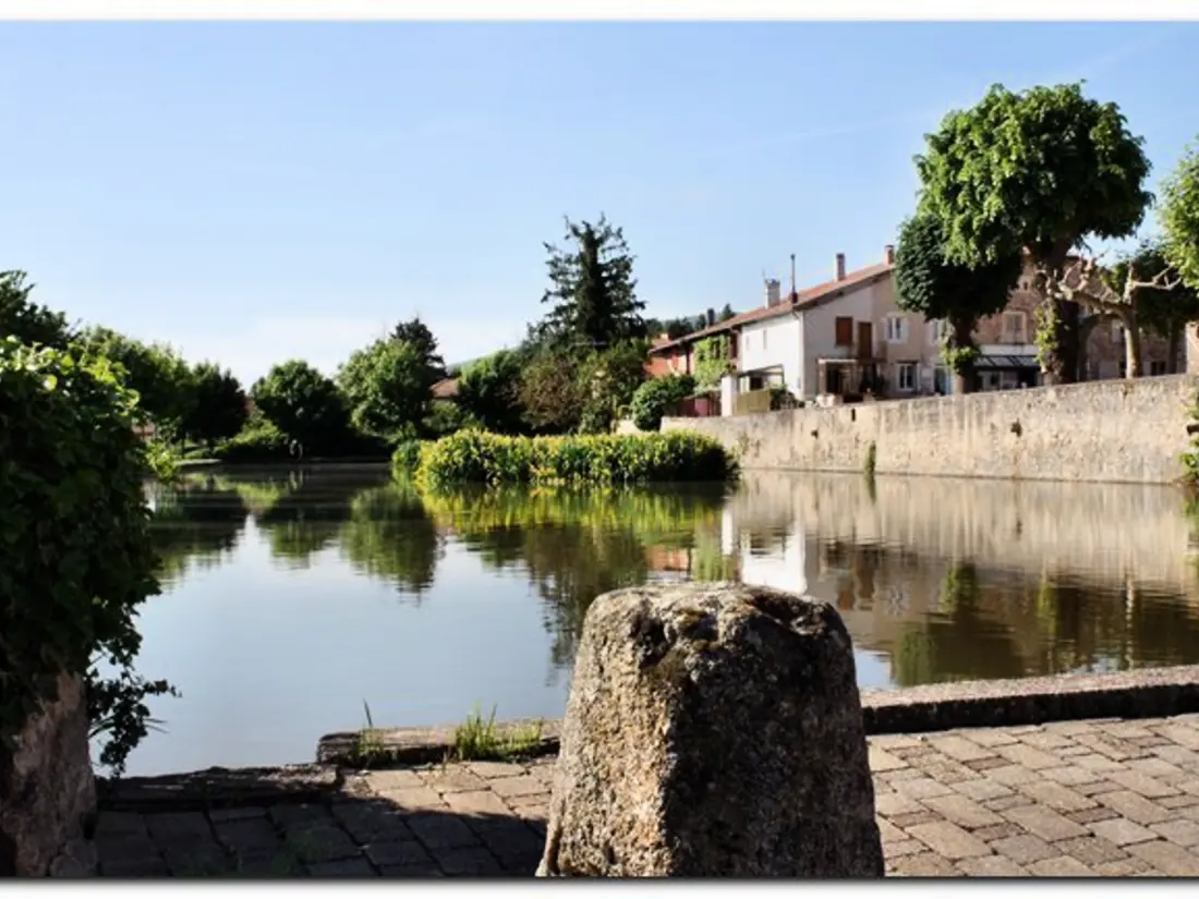 Maison de Vacances SAINT-ANDRE-D'APCHON 5