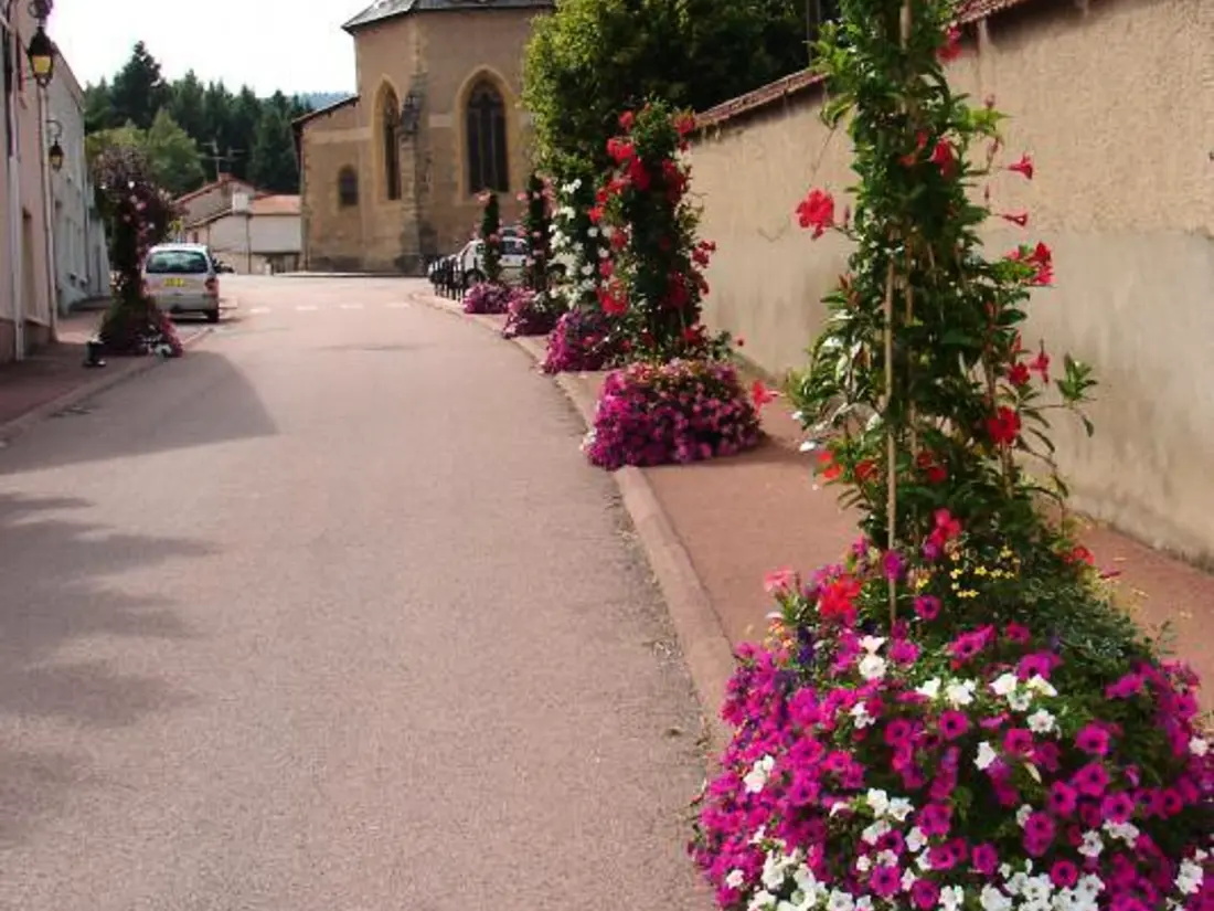 Maison de Vacances SAINT-ANDRE-D'APCHON 5