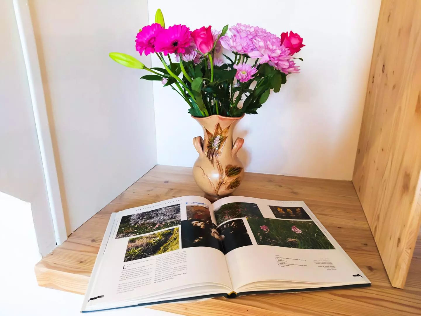 Gîte de France Ecogîte de l'adonis 3 épis - - SAINT BAUZILE - 4