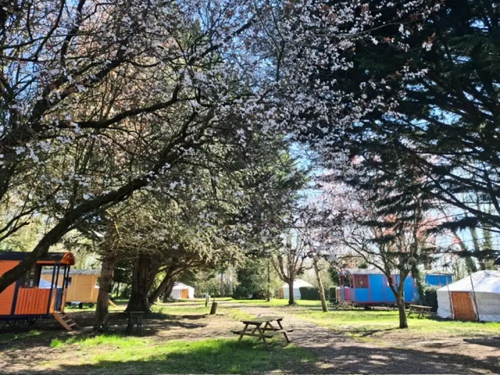 Village Insolite 1 étoiles★