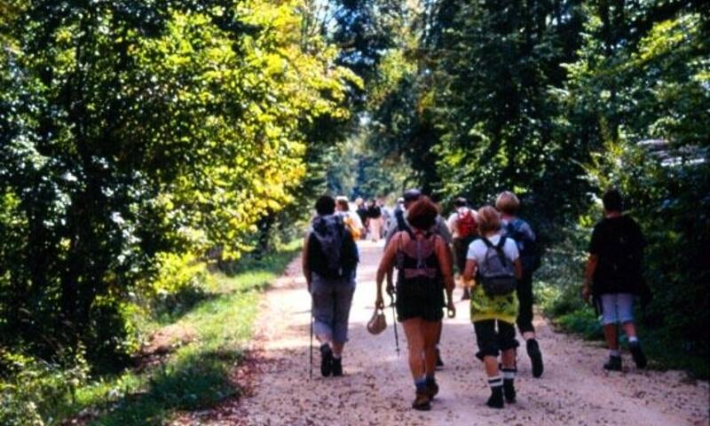 Camping de la Belle Etoile *** - Saint Bonnet Le Château - 31