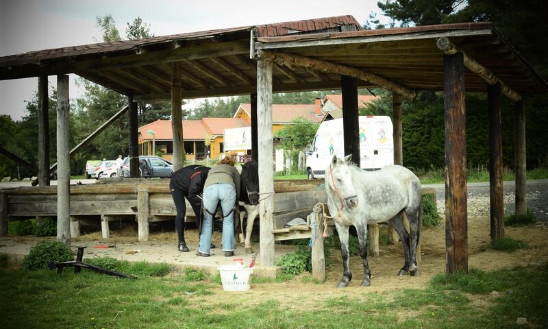 Camping de la Belle Etoile *** - Saint Bonnet Le Château - 33