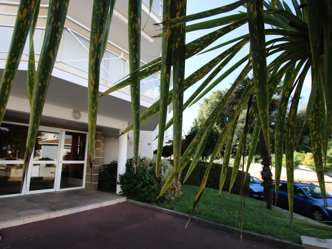 Location de Vacances Saint-Brevin-les-Pins 106