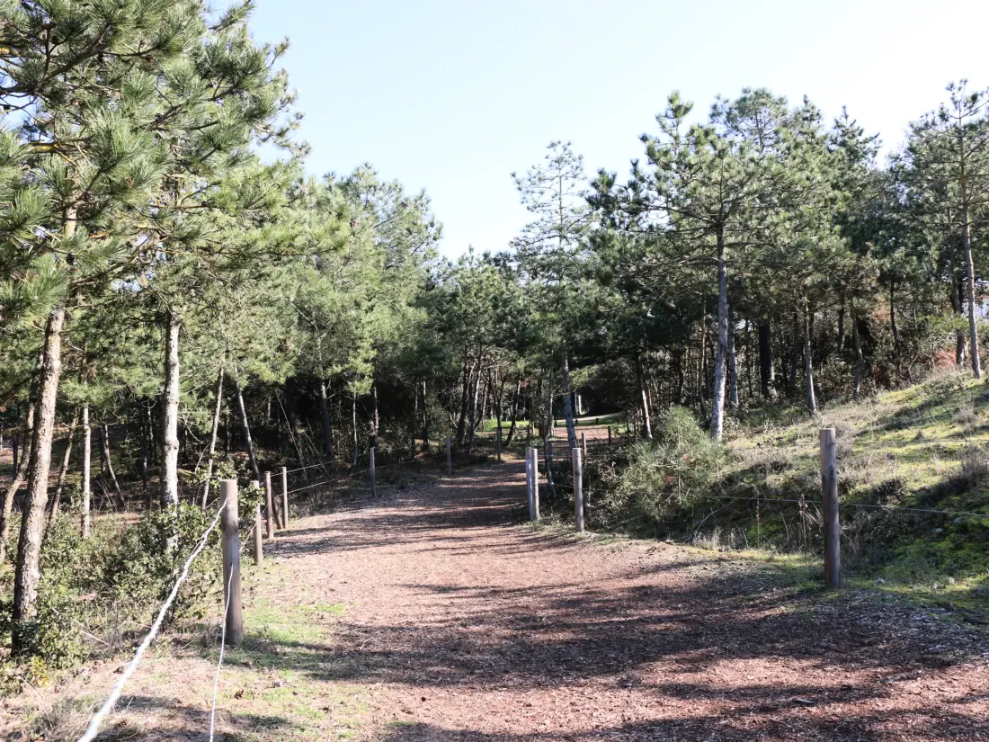 Location de Vacances Saint-Brevin-les-Pins 203