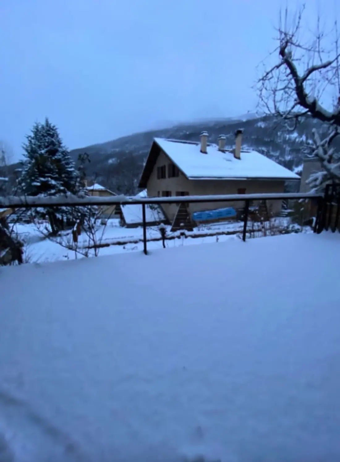 Flocon De Neige Au Cœur Des Alpes