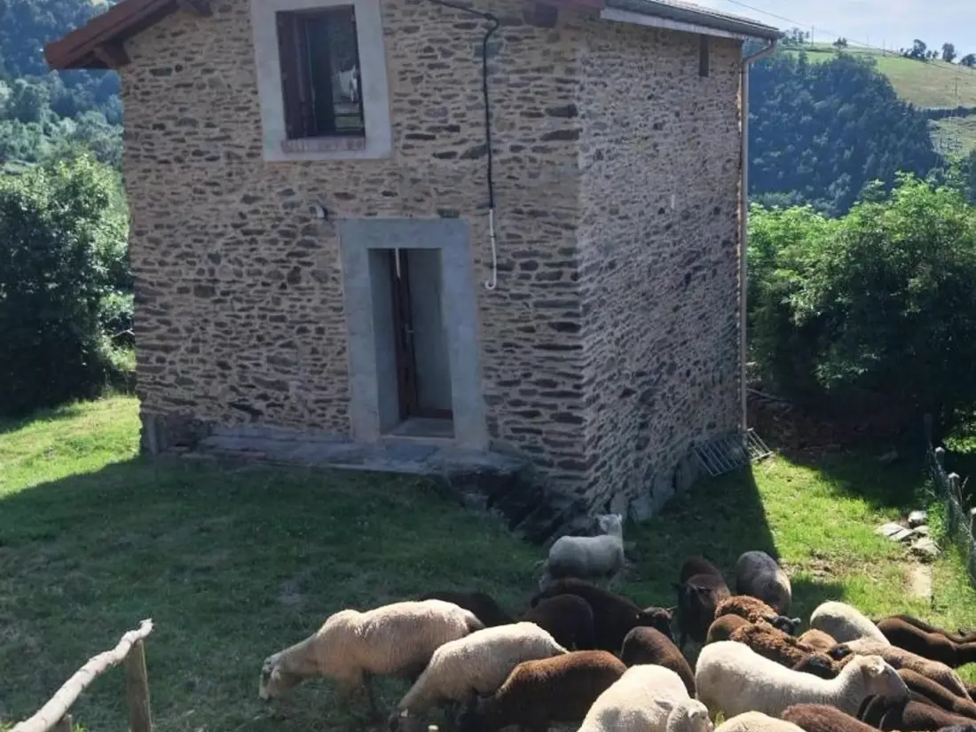Maison de Vacances SAINT-CHAMOND 5