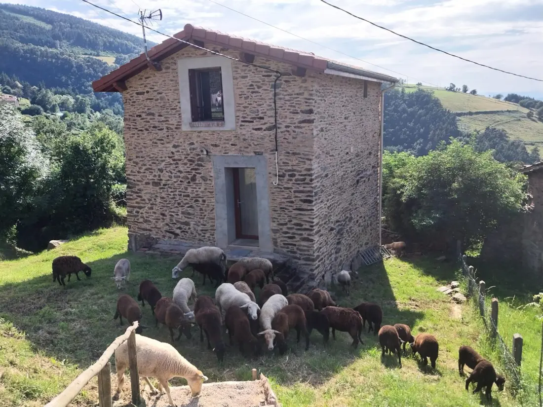 Maison de Vacances SAINT-CHAMOND 5