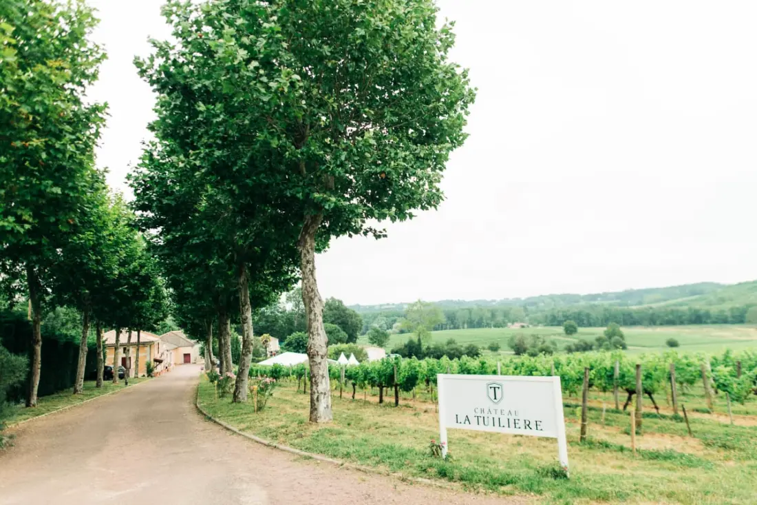 Château La Tuilière Au Milieu De Son Vignoble Dans Un Cadre Exceptionnel