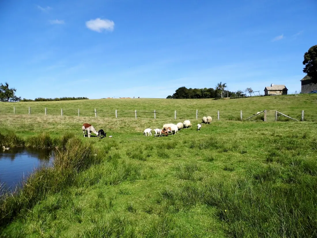 Gîte de France Laclefdeschamps 3 épis