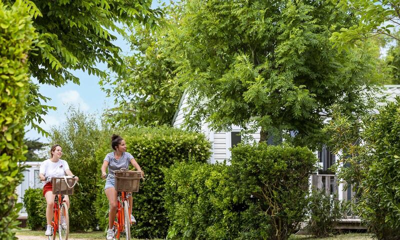 France - Atlantique Nord - Ile de Ré - Camping Romanée La Plage 4*