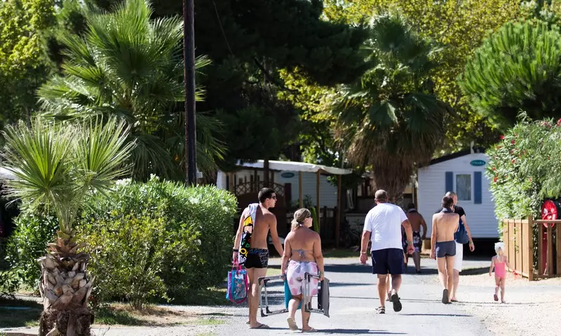 Le Bosc d'en Roug Languedoc-Roussillon - Saint-Cyprien visuel 56/92
