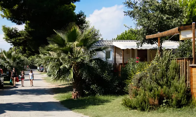 Le Bosc d'en Roug Languedoc-Roussillon - Saint-Cyprien visuel 23/92
