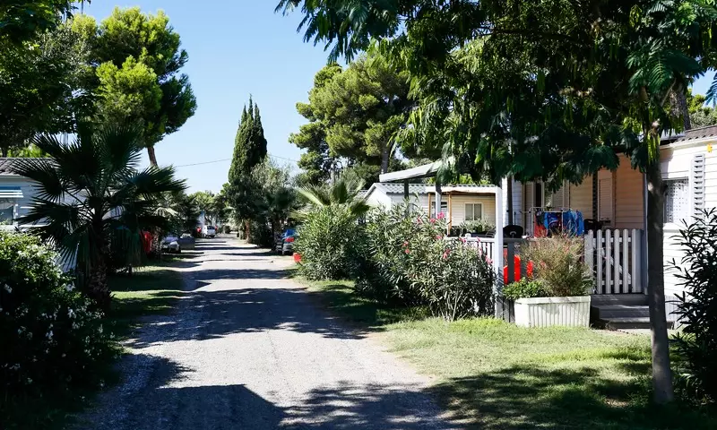 Le Bosc d'en Roug Languedoc-Roussillon - Saint-Cyprien visuel 19/92