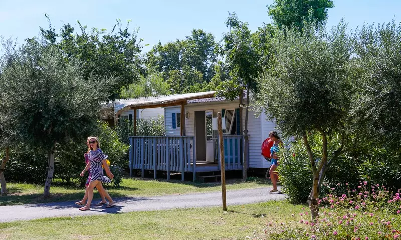 Le Bosc d'en Roug Languedoc-Roussillon - Saint-Cyprien visuel 43/92