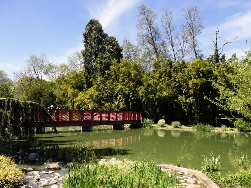 Camping Le Bosc - Bonnes Vacances 4 étoiles★★★★ 
