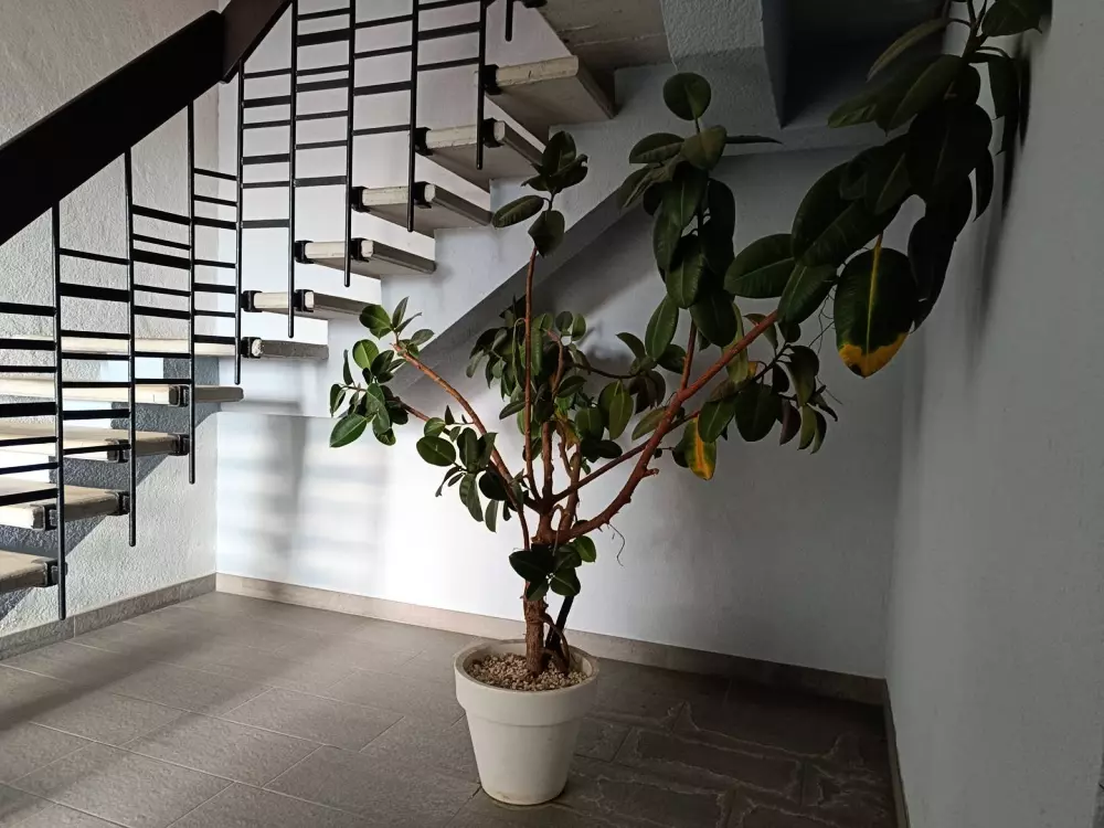 Résidence Port Cipriano