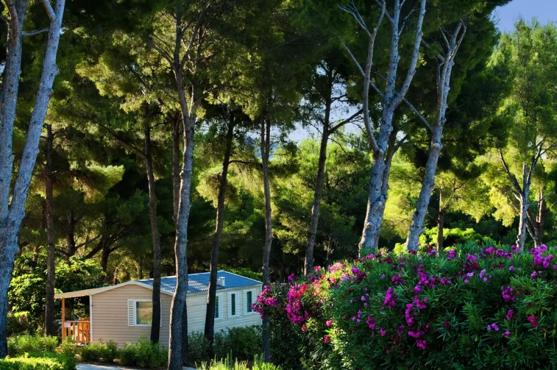 Camping Les Dauphins3 étoiles★★★