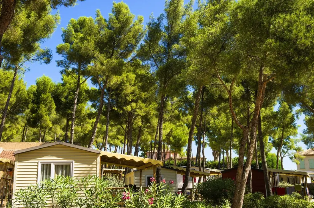 Camping Les Dauphins3 étoiles★★★