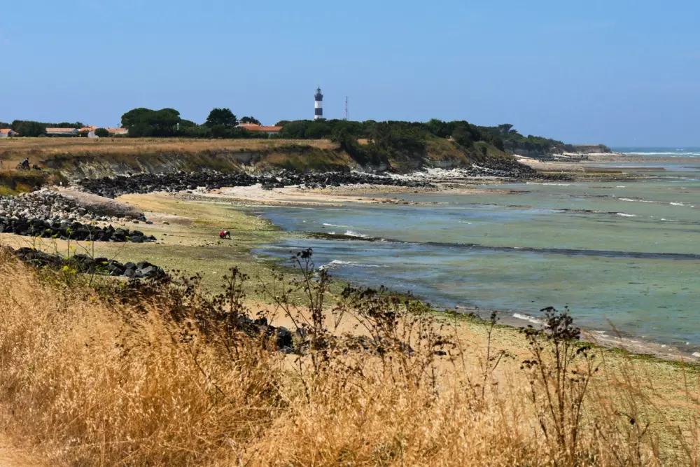 Camping Les Beaupins 31 étoiles★