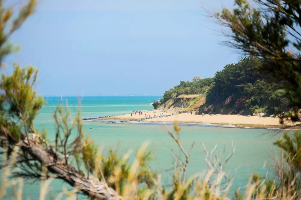 Camping Les Beaupins 31 étoiles★