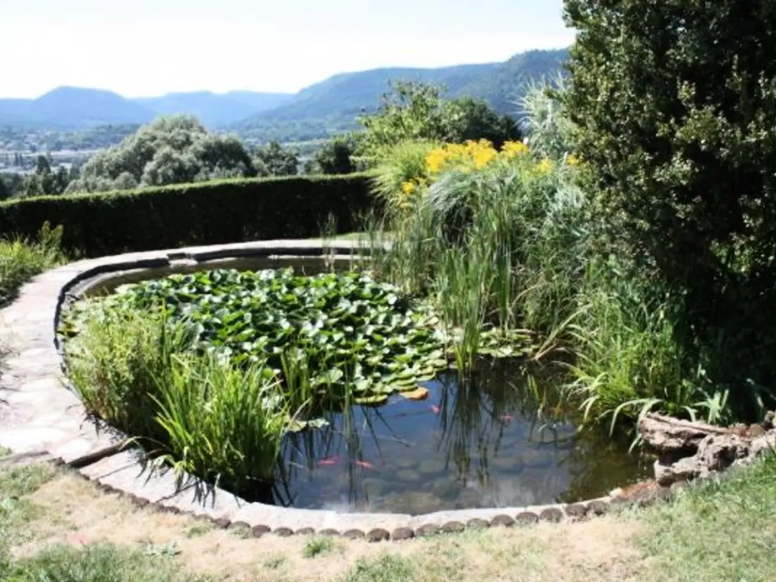 Maison de Vacances Saint-Dié-des-Vosges