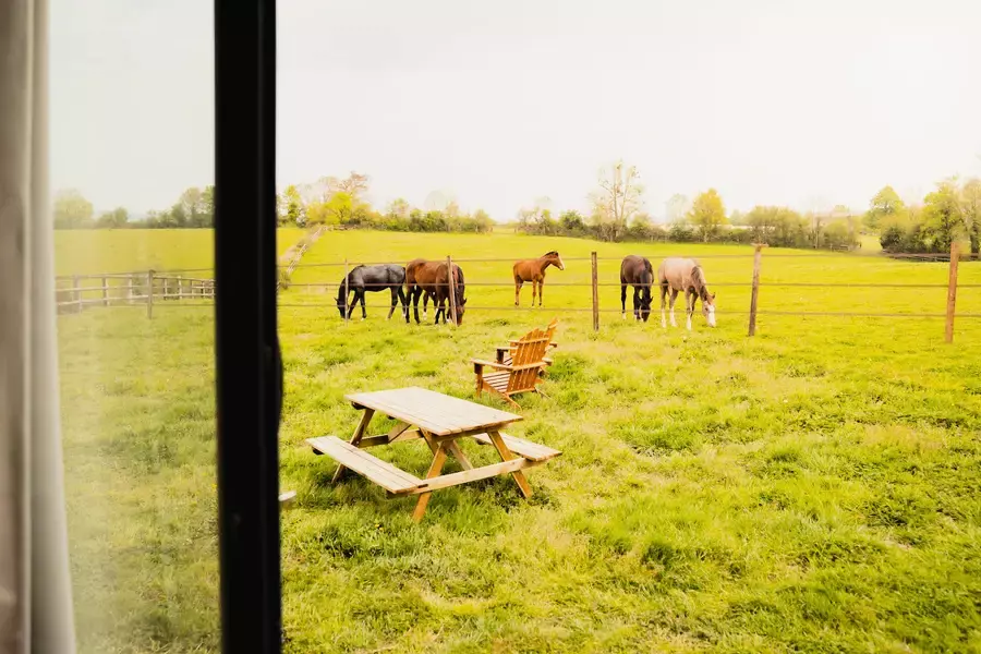 Tiny House - Jardins de la Thillaye : aux portes de Deauville - 5