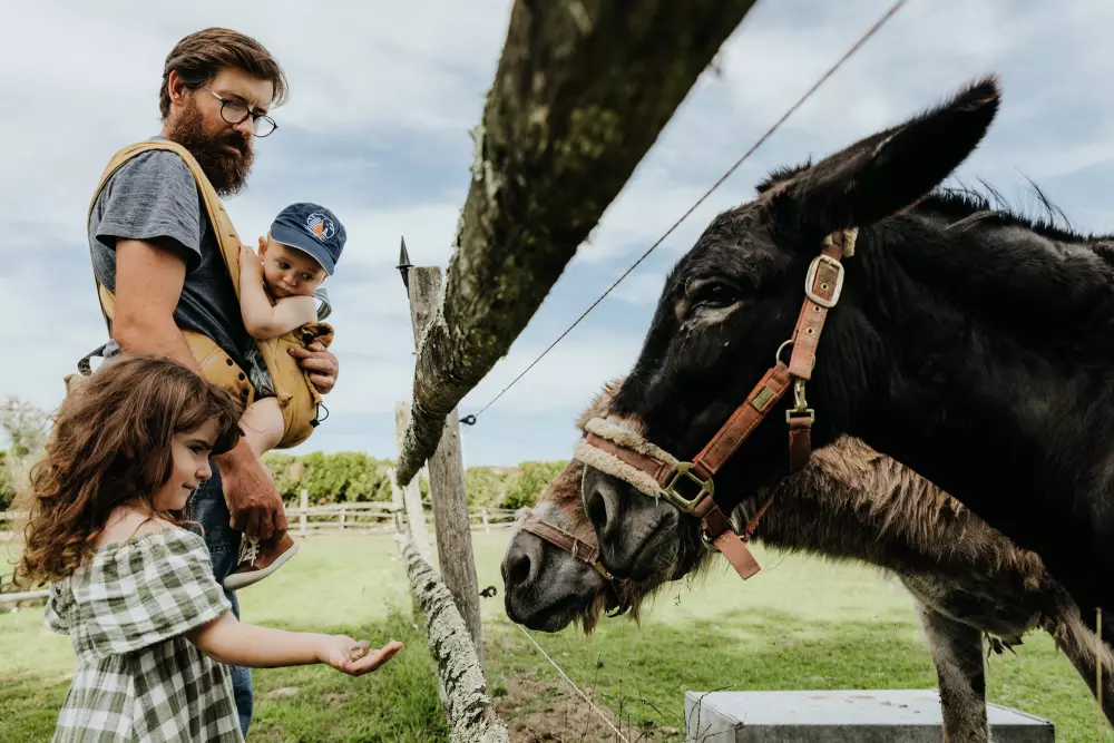 Domaine de L'Atrée - Parcel Tiny House