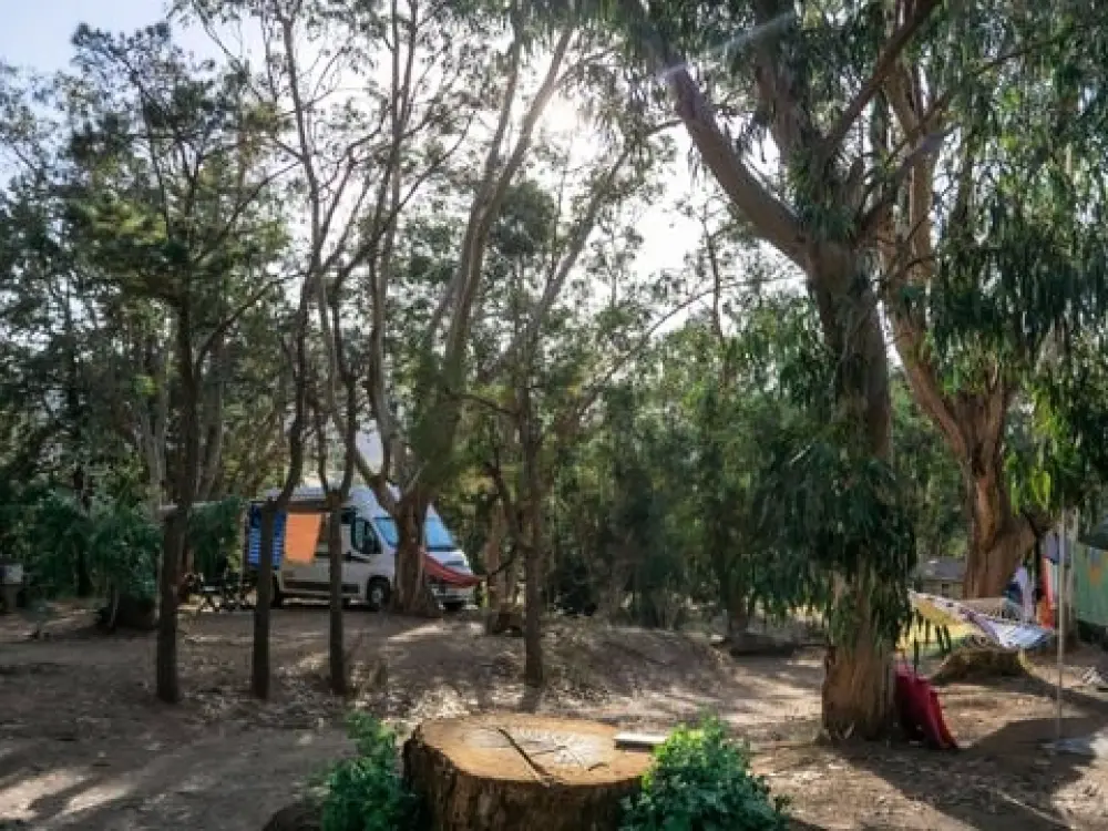 Camping U Pezzo 2 étoiles★★