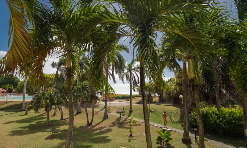 Appartement Rêve D'outre Mer - - Saint François - 28