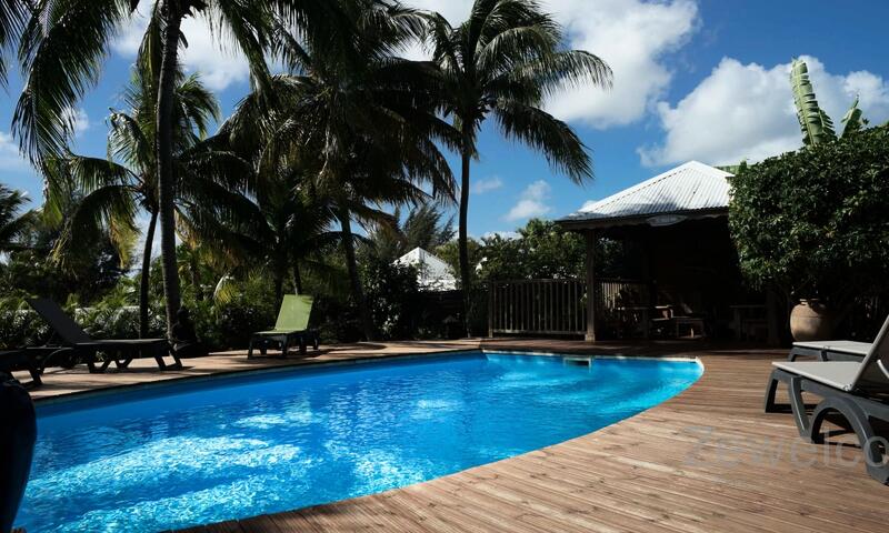 Bungalow Physalis - - Saint François - 1