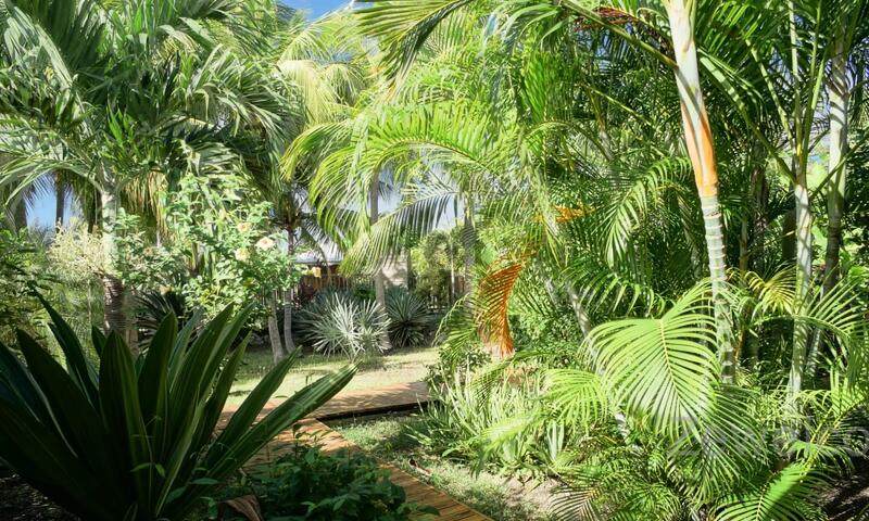 Bungalow Physalis - - Saint François - 4