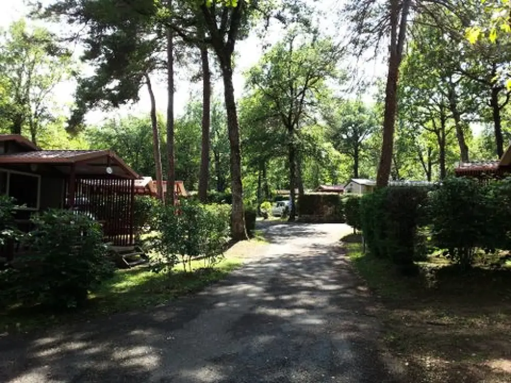 Camping Les Truffières De Dordogne 5 étoiles★★★★★