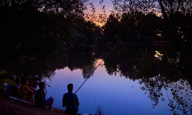 Camping C?ur de Vendée - La Boissière de Montaigu - 15