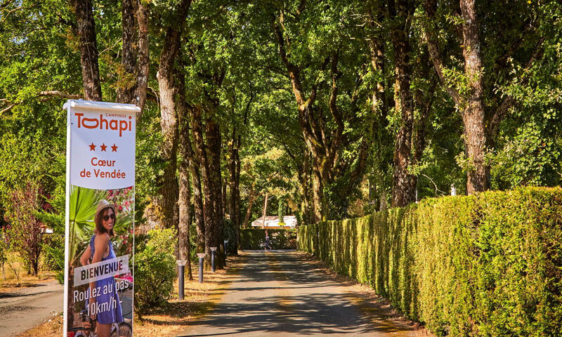 Camping C?ur de Vendée - La Boissière de Montaigu - 19