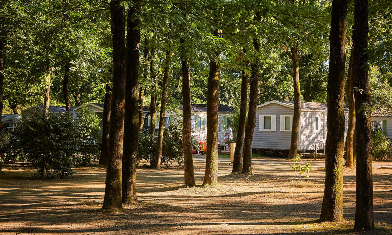 Camping C?ur de Vendée - La Boissière de Montaigu - 20