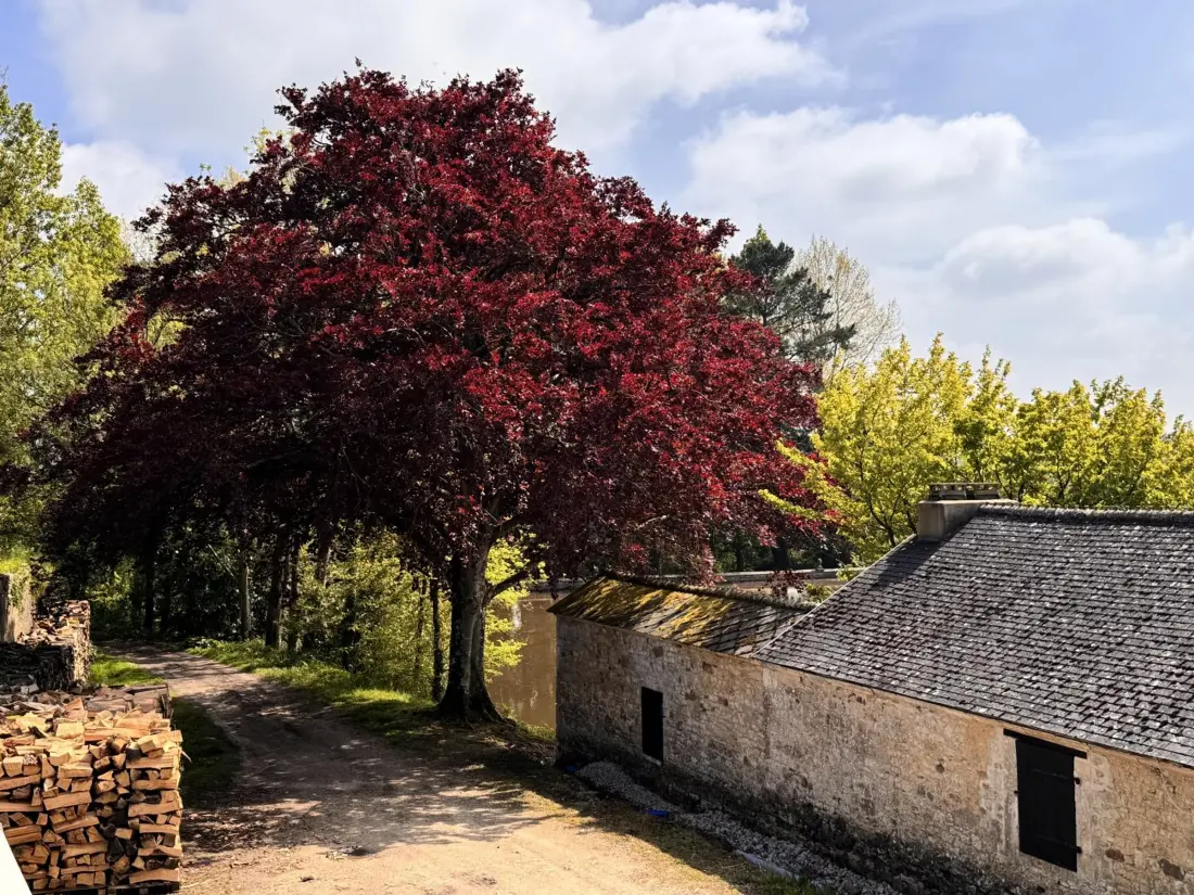 Maison de Vacances Saint-Germain-de-Tournebut 2