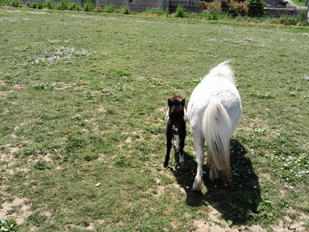 Maison de Vacances Saint-Germain-de-Varreville 2