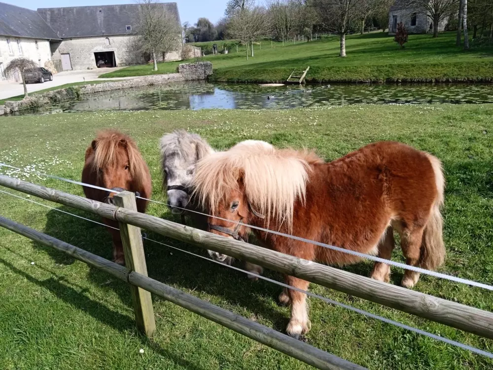 Maison de Vacances Saint-Germain-de-Varreville 2